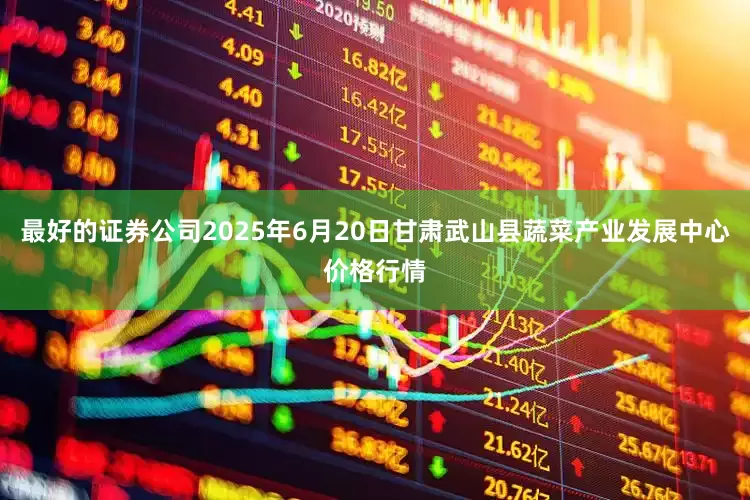 最好的证券公司2025年6月20日甘肃武山县蔬菜产业发展中心价格行情
