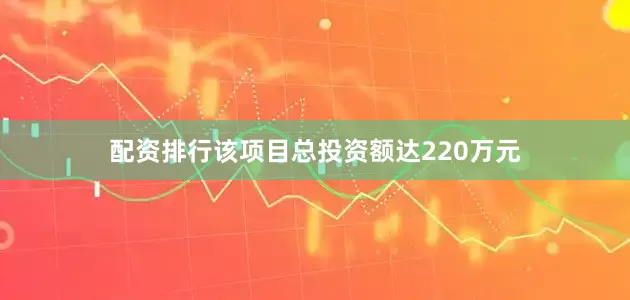 配资排行该项目总投资额达220万元