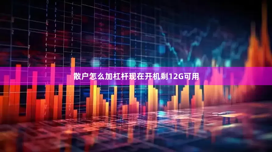 散户怎么加杠杆现在开机剩12G可用
